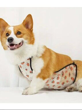 Cute Mushroom Dog Belly Band, Adjustable Waterproof Dog Sterilization Clothes